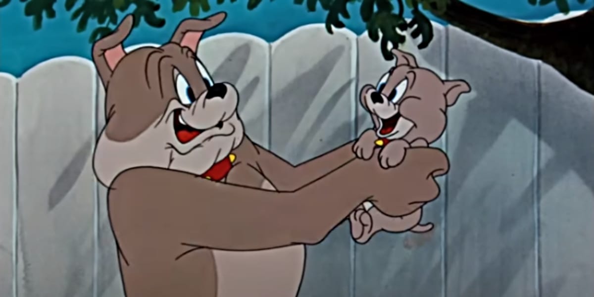 Wie Heißt Der Hund Von Tom Und Jerry Hund von „Tom & Jerry“: Alles über Bulldogge Spike